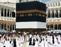 Hac'ca rekor sayıda başvuru